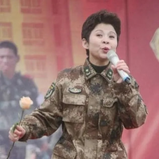 22歲嫁初戀，23歲爆火，38歲跌落神壇，董文華如今怎樣了？