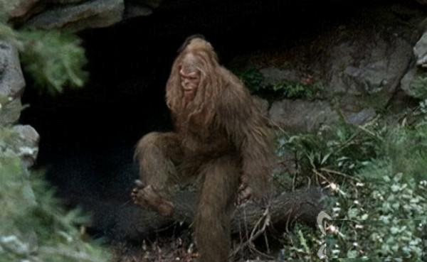 中國神農架深處真的不被允許前往嗎?為什麼要設立人類禁區? 中國神農架深處真的不被允許前往嗎?為什麼要設立人類禁區?