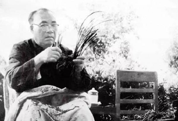 圳下之戰,朱毛紅軍陷入絕境,李文林:歡迎來到灰色根據地 圳下之戰,朱毛紅軍陷入絕境,李文林:歡迎來到灰色根據地