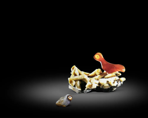 “缺陷”,才是觀賞石最為真實的自然美 “缺陷”,才是觀賞石最為真實的自然美