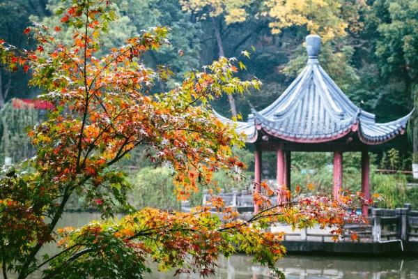 既有悠悠歷史，又有俗世煙火，來南京看看吧