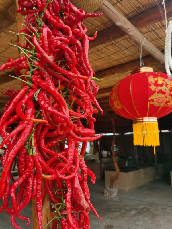 如果秋天有顏色,那麼一定是中國紅 如果秋天有顏色,那麼一定是中國紅