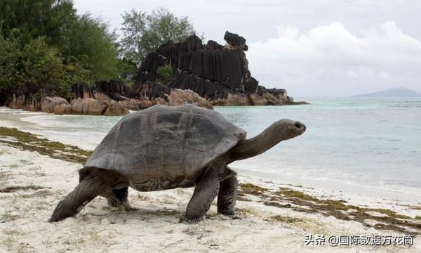 塞席爾：我雖是非洲最袖珍的國家，但我可一點都不窮