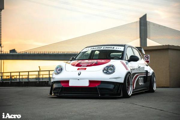 關於好貓“如虎”,你想知道的都在這裡了 關於好貓“如虎”,你想知道的都在這裡了