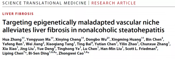 曹中煒發現非酒精性脂肪肝炎血管微環境促纖維化靶點 曹中煒發現非酒精性脂肪肝炎血管微環境促纖維化靶點