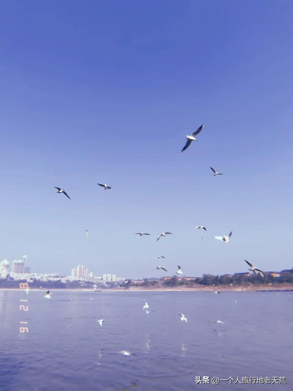 苦等5年終通高鐵！這座比成都還巴適的酒城，為了吃也要去一趟