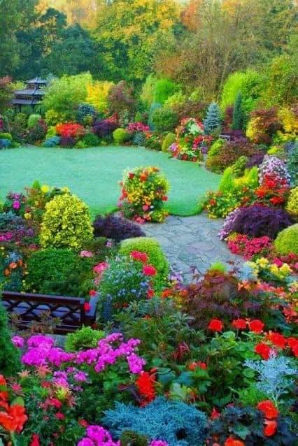 養花人的花花世界