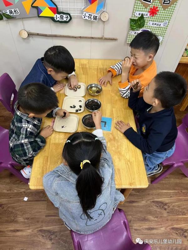 好吃的黑黑——諾亞舟慶安樂兒堡幼兒園中四班課程故事