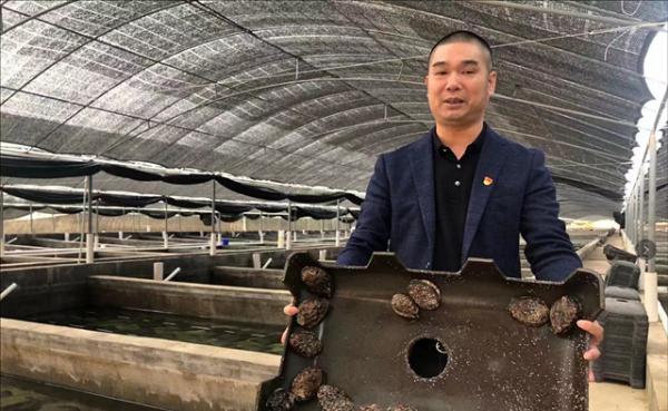 廣東小夥養殖鮑魚，獨門秘方一斤賣出280元，帶領農戶走上致富路