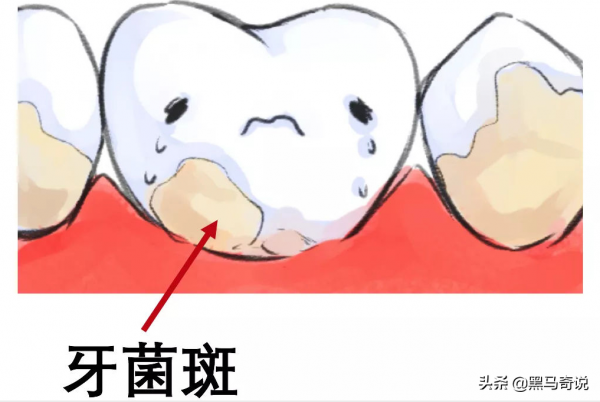 晨起第一杯水，喝水等於喝細菌？有害健康？真的是這樣嗎？