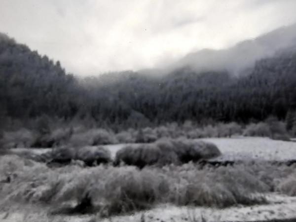 九寨溝的第一場雪 晶瑩剔透 恍若進入了童話世界