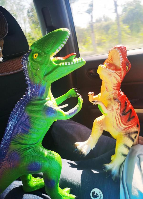 親子旅行-看,好多恐龍蛋呀 親子旅行-看,好多恐龍蛋呀