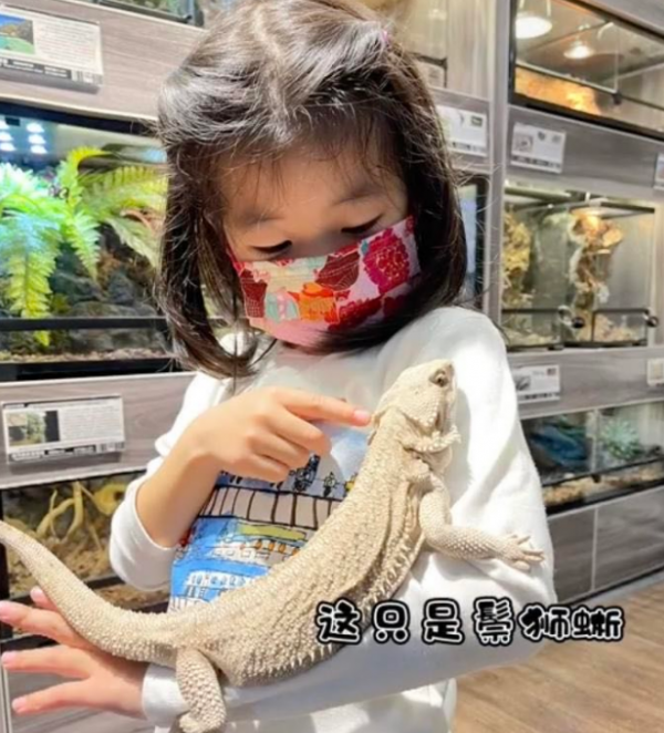章子怡6歲女兒打針不怕疼！盯著針頭扎入胳膊，一臉淡定膽子超大