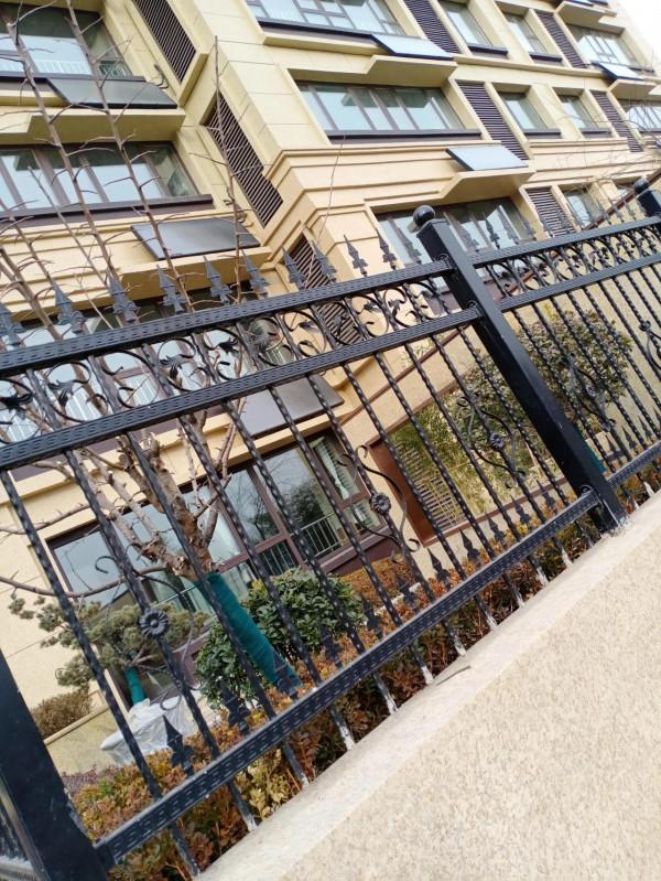 走路四年，我擁有了有趣好玩的好心情