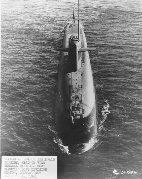 被迫上浮的深海之狼(中) 被迫上浮的深海之狼(中)