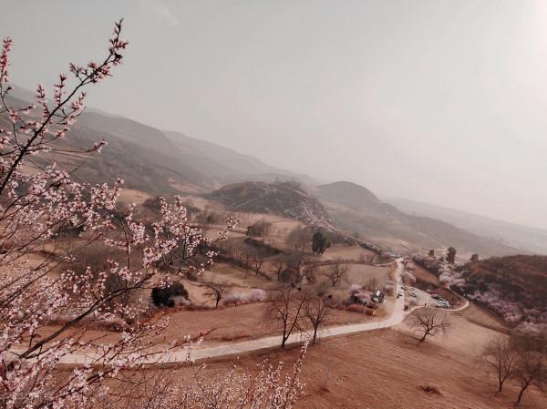 十二星座中誰最耐看