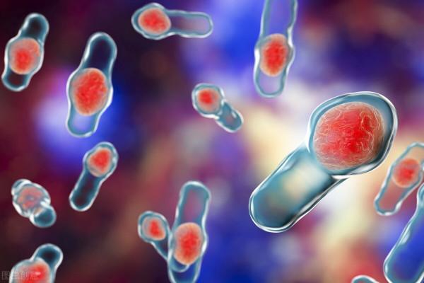 未來組織長什麼樣