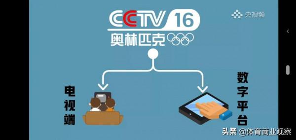 奧林匹克頻道怎麼看？電視手機PC都能看