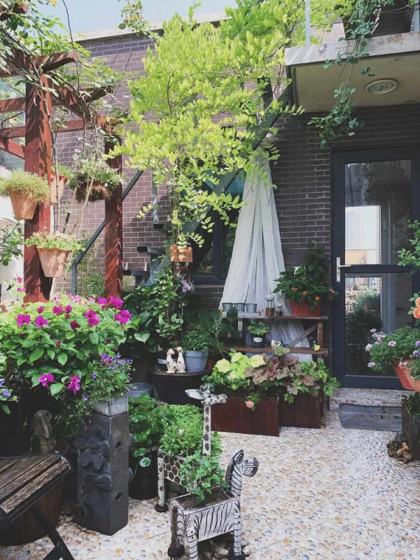 她改造的54㎡露臺花園，一個可在花叢中漫步的秘境，美不勝收