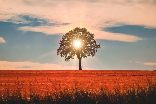 《論語·學而》：人生只有一件事是修煉好自己，活好自己