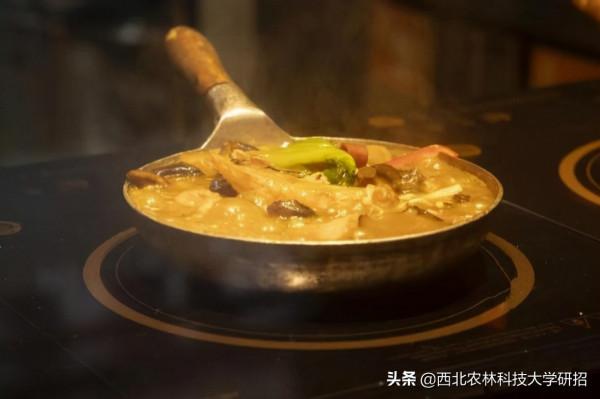 央視“點名”關注!陝西這所高校的全魚宴、巧克力饅頭饞哭網友 央視“點名”關注!陝西這所高校的全魚宴、巧克力饅頭饞哭網友