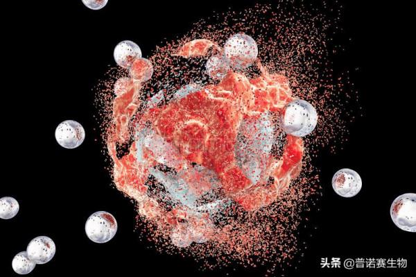 奈米抗腫瘤藥物新進展,有望成抗癌利器 奈米抗腫瘤藥物新進展,有望成抗癌利器