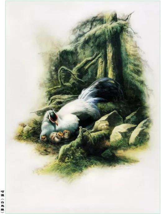 中國動植物畫第一人，曾孝濂極品工筆畫