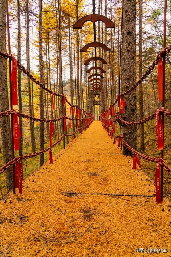 秦嶺紅葉房開售 | 一座座山間小屋，藏著秦嶺最美的秋