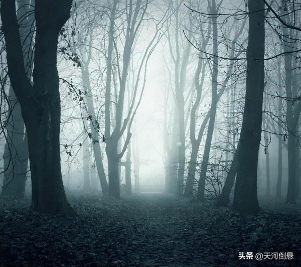 當代故事：小夥在荒山過夜，不慎掉入古墓，看到棺蓋自己緩緩推開