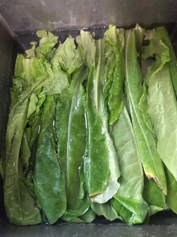 下班吃什麼?這5道快手菜,開胃營養豐富,孩子很愛吃​ 下班吃什麼?這5道快手菜,開胃營養豐富,孩子很愛吃​