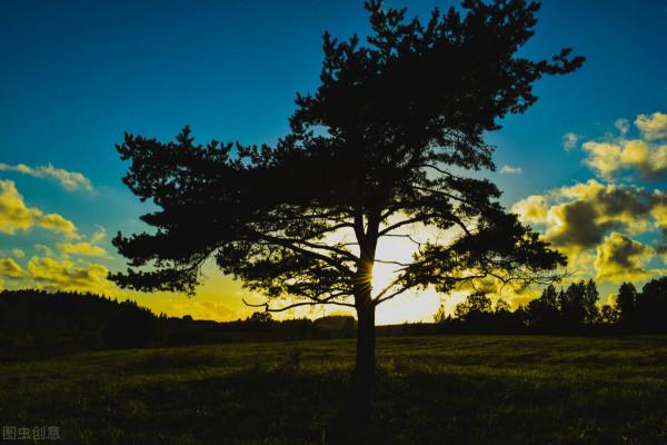 美景的初戀 美景的初戀