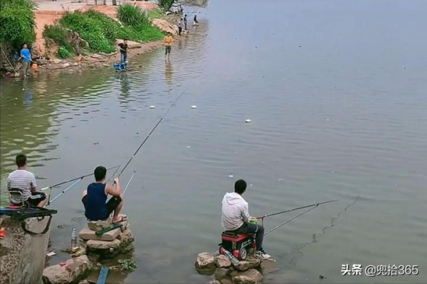 痴迷的釣魚人！廣東一河道成天然黑坑，無數釣魚人慕名而來