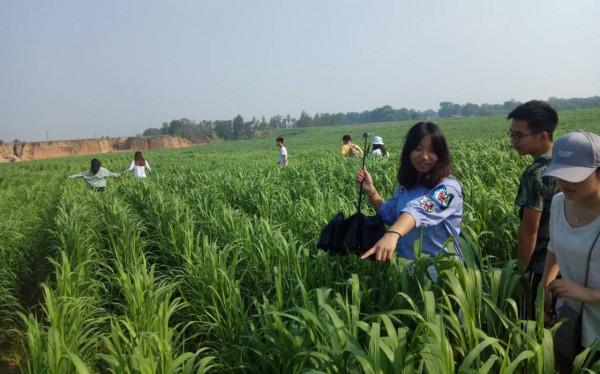 作為世界旱作農業源頭 敖漢開創了“網際網路+小米訂單” 作為世界旱作農業源頭 敖漢開創了“網際網路+小米訂單”