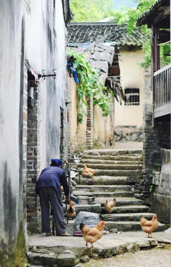 50張照片記錄著最真實的農村生活,這才是我們最深刻的回憶 50張照片記錄著最真實的農村生活,這才是我們最深刻的回憶