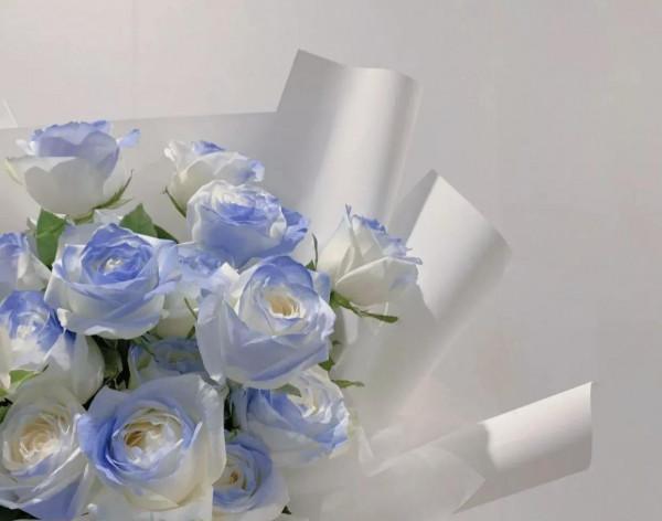 摘抄本上的句子分享，來一波