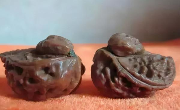 醜出新高度，價格卻貴得離譜