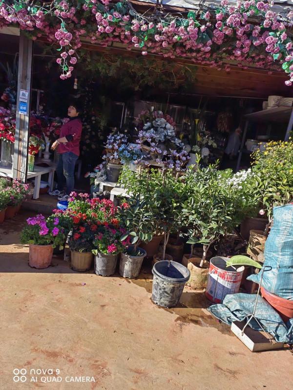 麗江古城昭慶市場