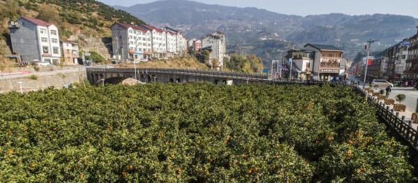多彩田園小鎮兩河口