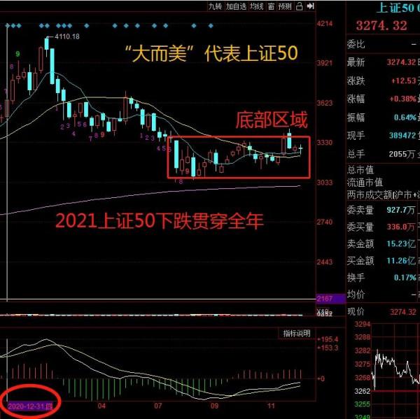 特斯拉漲超13%，臺積電漲超7%，大型科技股領漲，市場轉向大而美