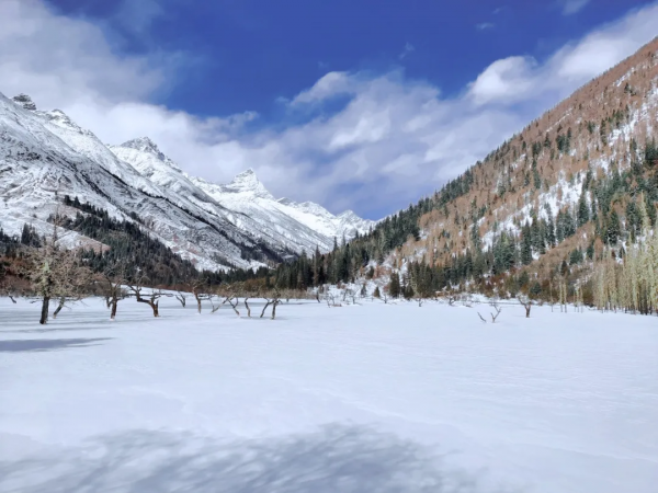 這個週末最浪漫的事，就是在四姑娘山來邂逅一場美好