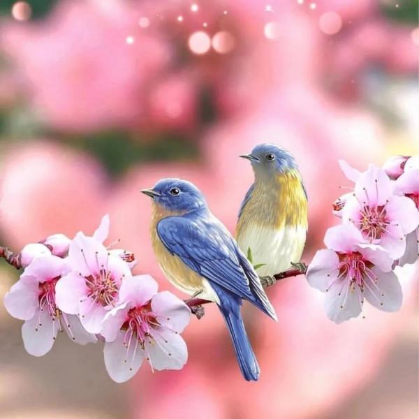 這樣的鳥圖，誰不想擁有？