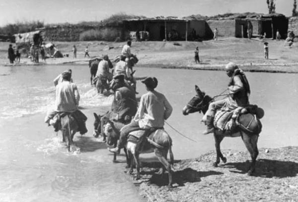 騎毛驢去看毛主席的庫爾班,臨終:後代參軍報國,重孫女完成遺願 騎毛驢去看毛主席的庫爾班,臨終:後代參軍報國,重孫女完成遺願