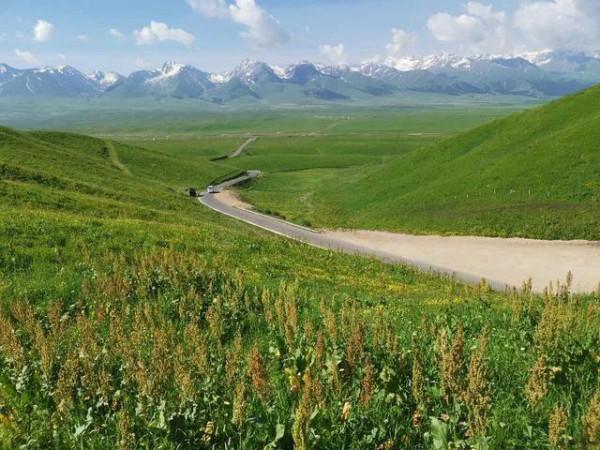 分享圖片——新疆那拉提草原