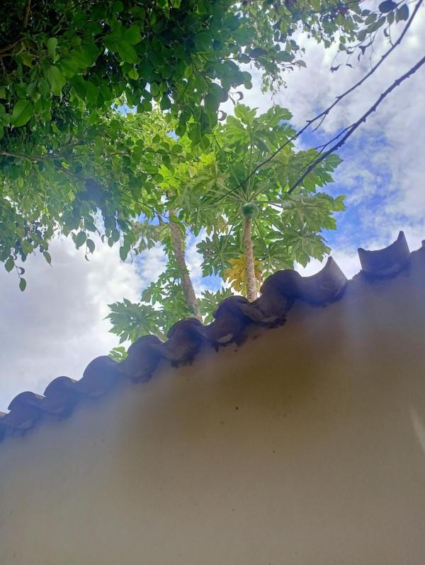 異國見聞-中鐵二十局員工在秘魯 異國見聞-中鐵二十局員工在秘魯