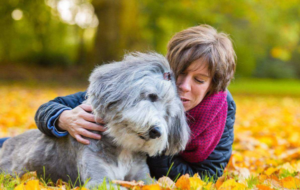 你可能不知道,其實這幾種方式,是老年狗在“告別” 你可能不知道,其實這幾種方式,是老年狗在“告別”