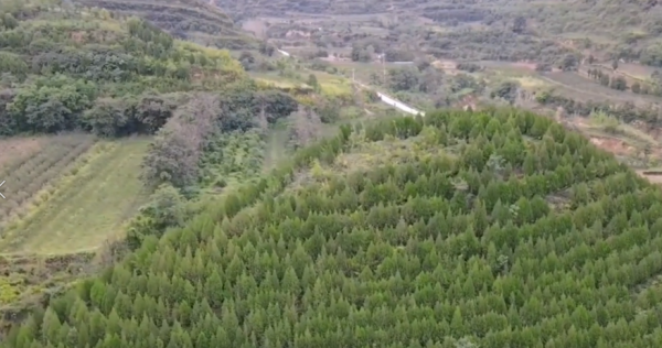 陝西女媧廟翻修挖出女媧墓碑，老農世代守護，難道女媧真有其人？