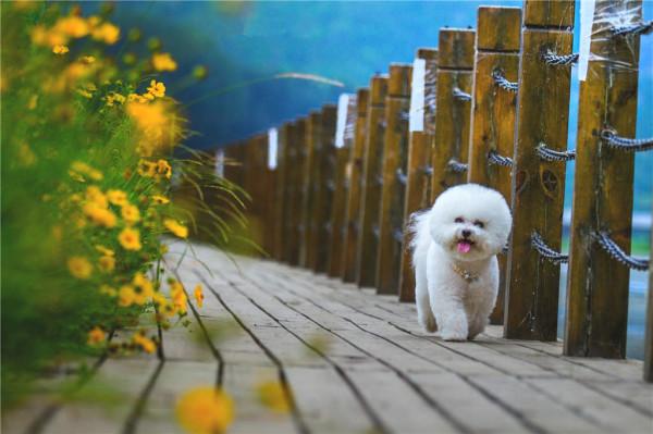 難成大事，遇事就只會慌張急躁的3個星座，心態很容易“炸裂”