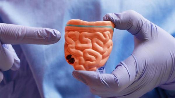 請善待你的腸子，腸道細菌不僅影響腦子還影響藥效