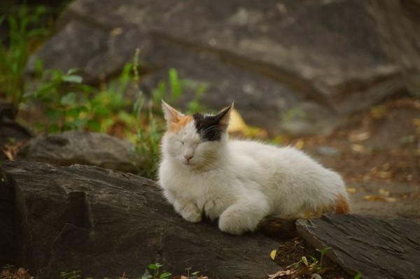 晚上睡覺容易醒是什麼原因？