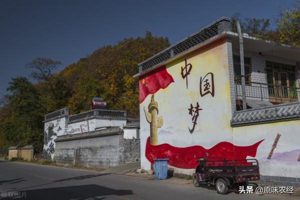 戰旗村模式：是中國農村的未來嗎？